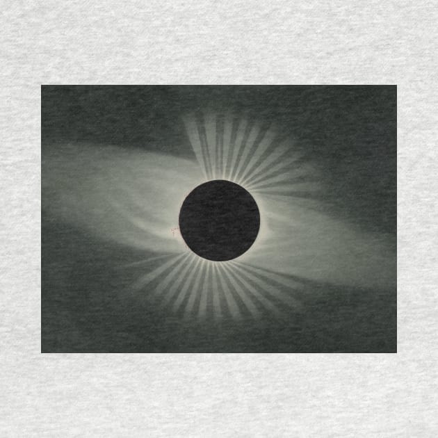 Total Eclipse of the Sun by Etienne Leopold Trouvelot by Classic Art Stall